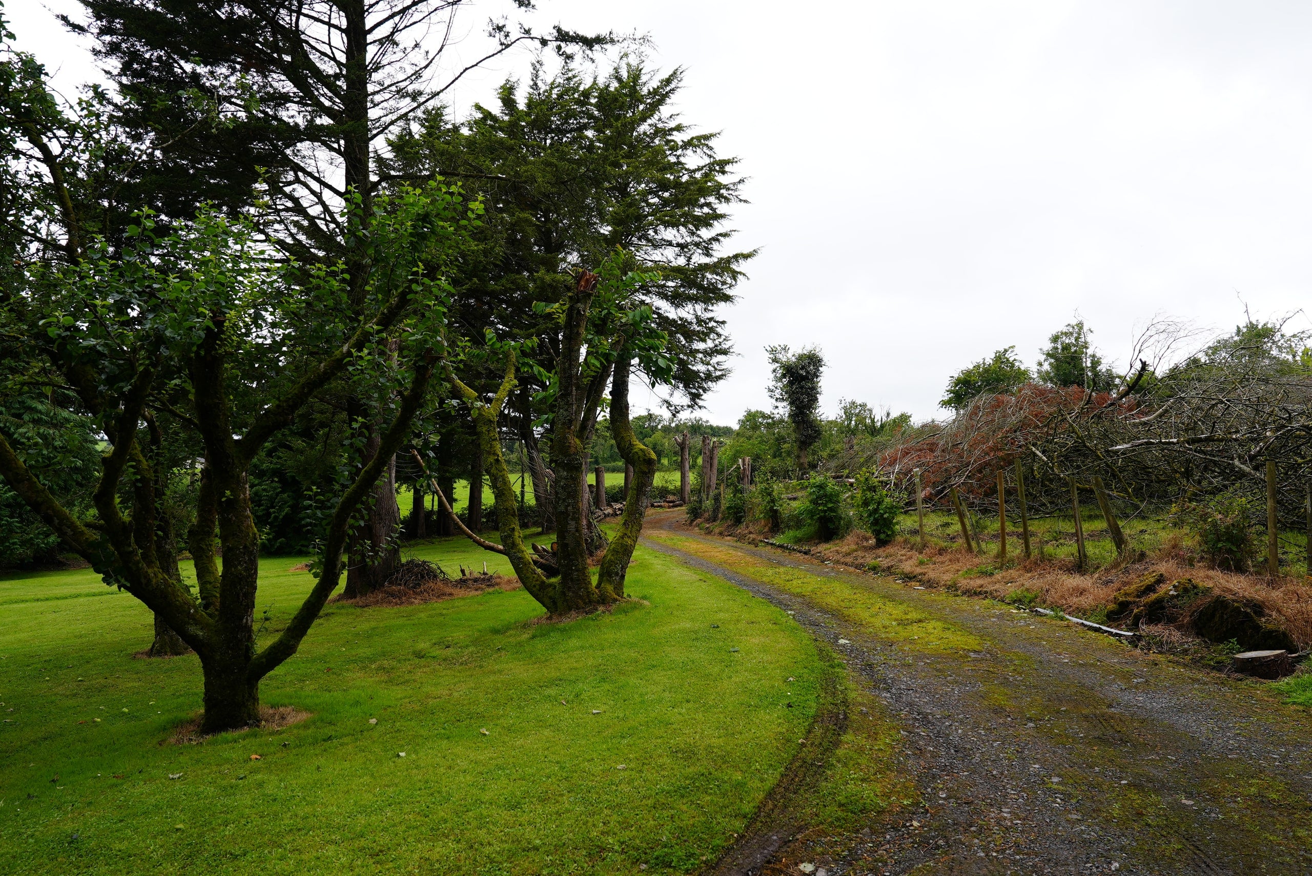 The lane passing the established grounds and mature trees