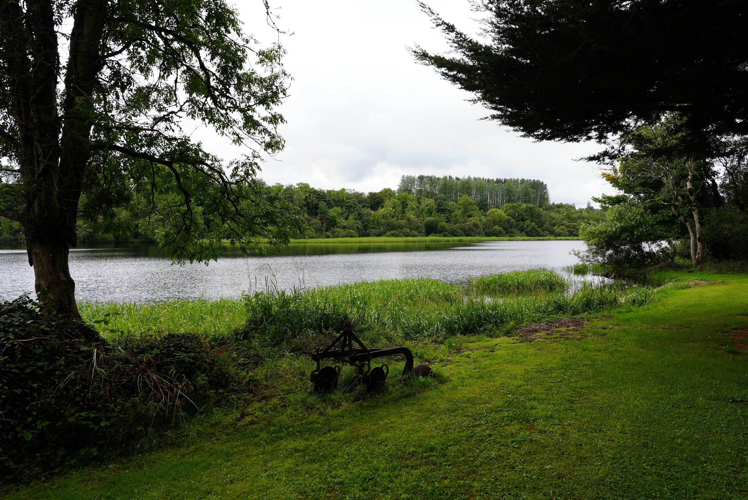 Lawn beneath mature trees with a view to the water