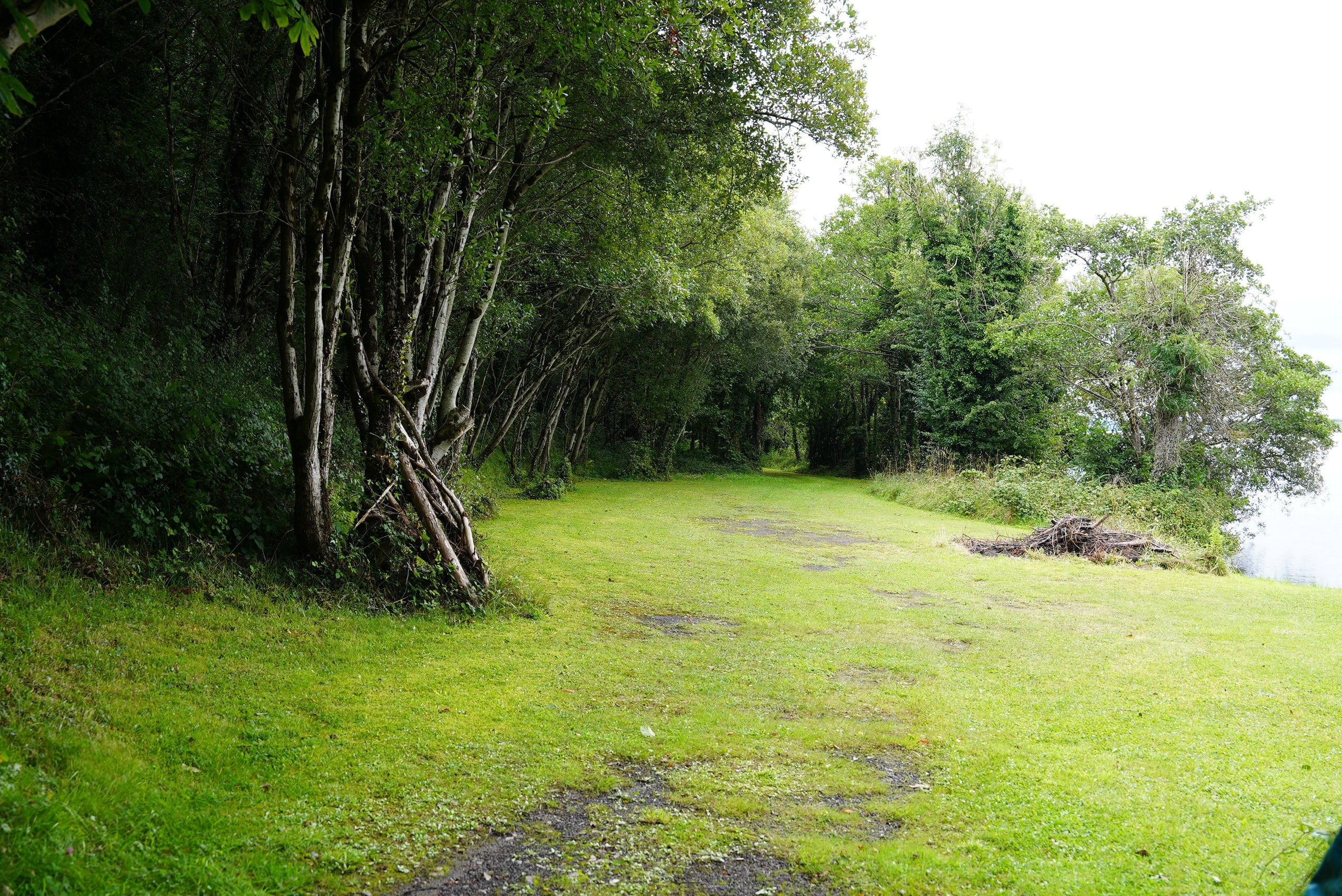 Open grass and mature planting along the lakeshore