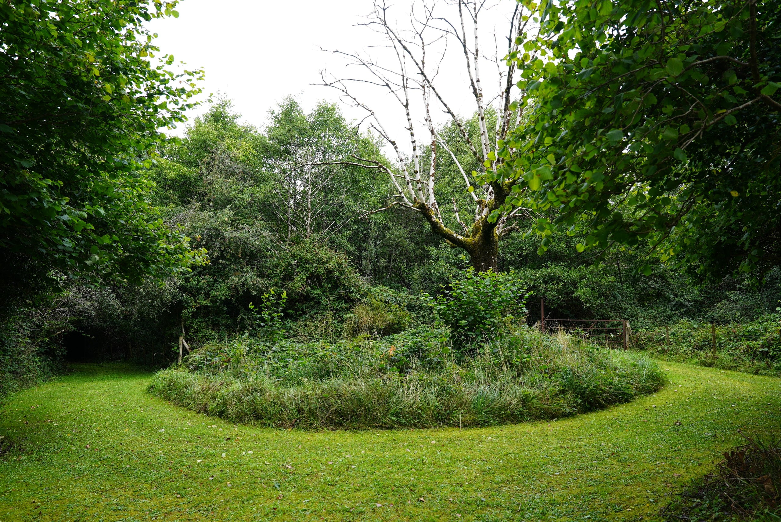 Established garden planting and mature trees